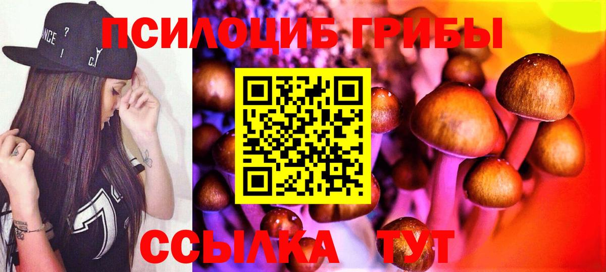 Псилоцибиновые грибы Psilocybe Мелеуз