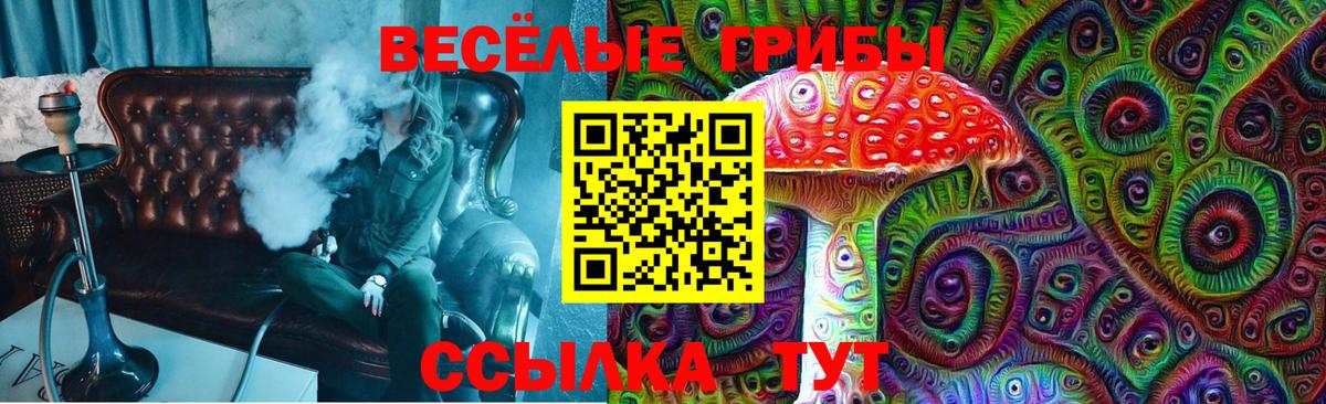 закладки  Вход с VPN  Мелеуз  Псилоцибиновые грибы мицелий  Псилоцибиновые грибы Magic Shrooms 